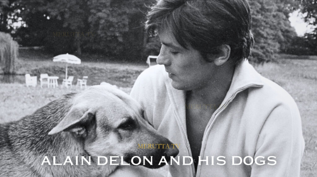 WHEN I DIE, I WANT TO BECOME ALAIN DELON’S DOG