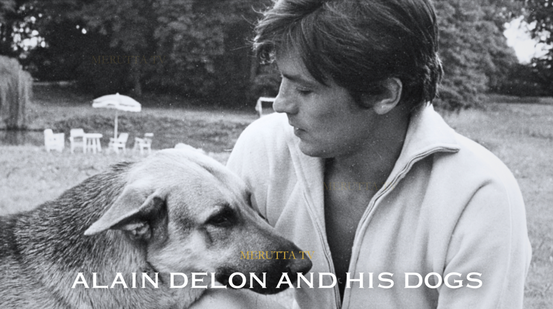 WHEN I DIE, I WANT TO BECOME ALAIN DELON’S DOG